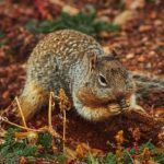 无尽3d动漫 mikna1aocm